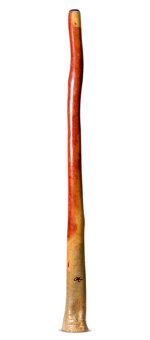 Tristan O'Meara Didgeridoo (TM390)